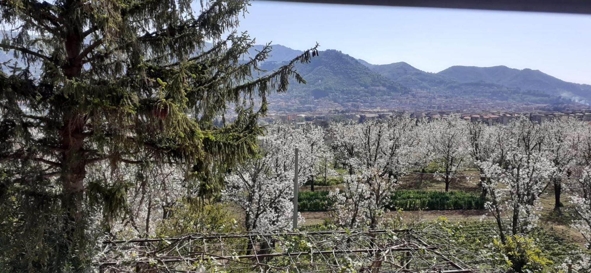 Villa Lanovella Cava deʼ Tirreni Exterior foto
